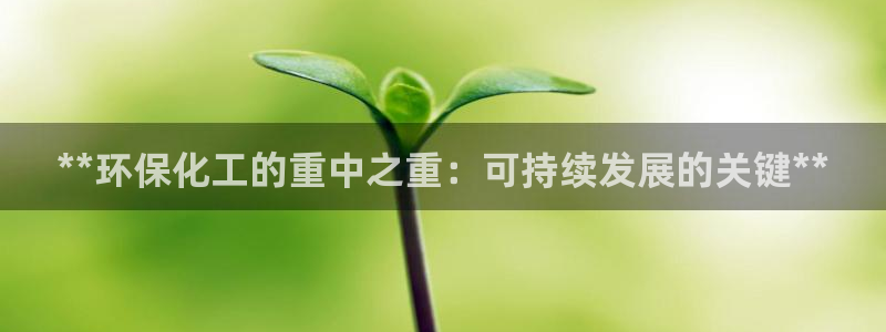 亿万先生：**环保化工的重中之重：可持续发展的关键**