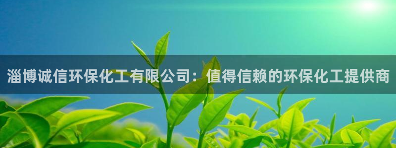 亿万番外：淄博诚信环保化工有限公司：值得信赖的环保化工提供商