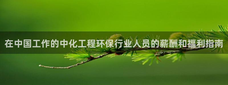 亿万先生官方网站客户端下载安装最新版：在中国工作的中化工程环保行业人员的薪酬和福利指南
