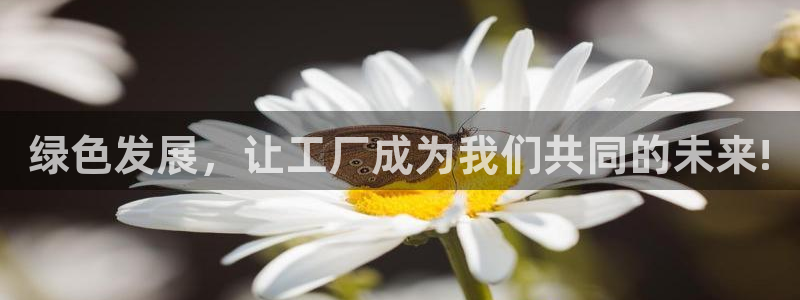 亿万城市手游官网