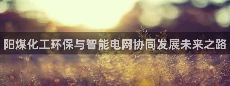 mr07亿万先生：阳煤化工环保与智能电网协同发展未来之路