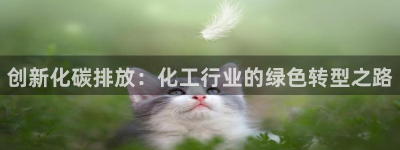 亿万先生下载网址app：创新化碳排放：化工行业的绿色转型之路