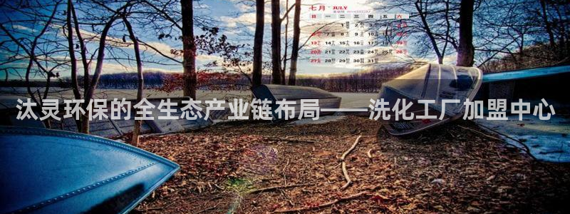 亿万先生客户端下载安装：汰灵环保的全生态产业链布局——洗化工厂加盟中心