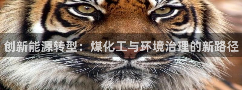 亿万先生官方网站下载：创新能源转型：煤化工与环境治理的新路径