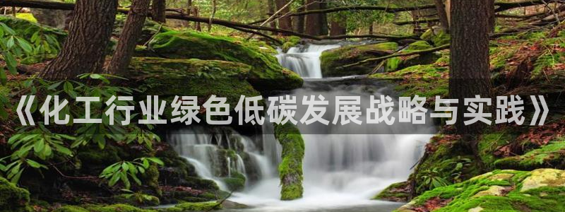 亿万首富手游：《化工行业绿色低碳发展战略与实践》