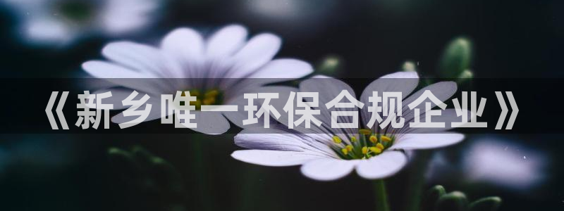 亿万官网：《新乡唯一环保合规企业》