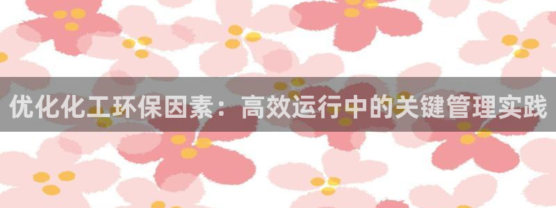 亿万先生客户端官网登录：优化化工环保因素：高效运行中的关键管理实践