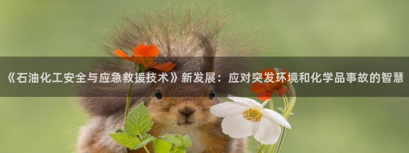亿万先生007网页登录不了：《石油化工安全与应急救援技术》新发展：应对突发环境和化学品事故的智慧