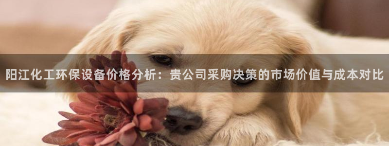 亿万先生mr07：阳江化工环保设备价格分析：贵公司采购决策的市场价值与成本对比