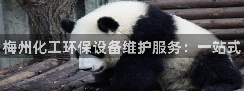 亿万笞人：梅州化工环保设备维护服务：一站式