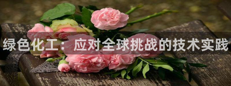 电影亿万：绿色化工：应对全球挑战的技术实践