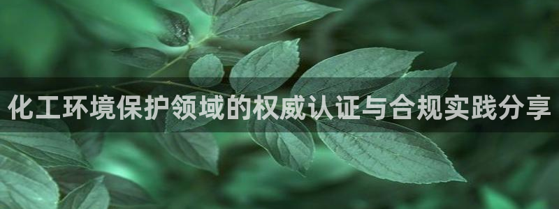 亿万网红：化工环境保护领域的权威认证与合规实践分享