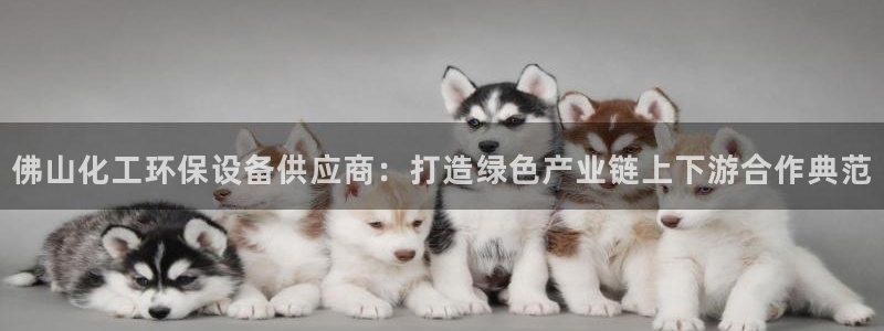 亿万先生手游下载：佛山化工环保设备供应商：打造绿色产业链上下游合作典范