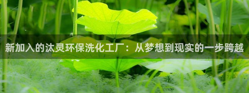 亿万先生app：新加入的汰灵环保洗化工厂：从梦想到现实的一步跨越