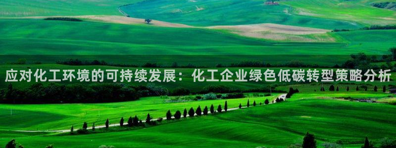 亿万先生手机版入：应对化工环境的可持续发展：化工企业绿色低碳转型策略分析
