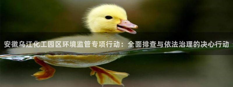 亿万先生手游下载：安徽乌江化工园区环境监管专项行动：全面排查与依法治理的决心行动