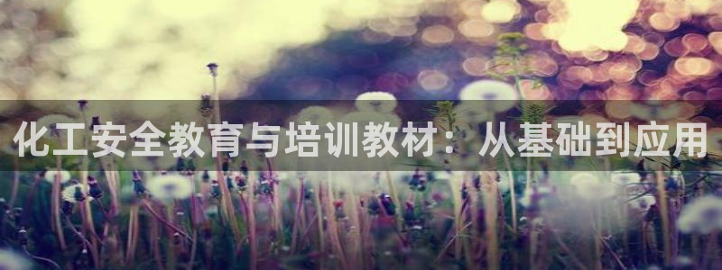 亿万城市手游官网：化工安全教育与培训教材：从基础到应用