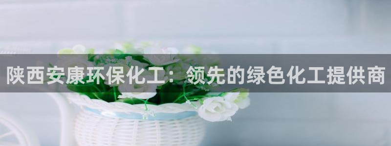 亿万先生官方网站首页：陕西安康环保化工：领先的绿色化工提供商