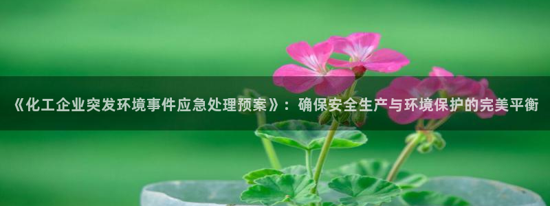 亿万先生手机版：《化工企业突发环境事件应急处理预案》：确保安全生产与环境保护的完美平衡