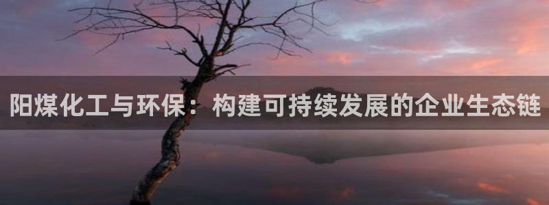 亿万28下载地址：阳煤化工与环保：构建可持续发展的企业生态链