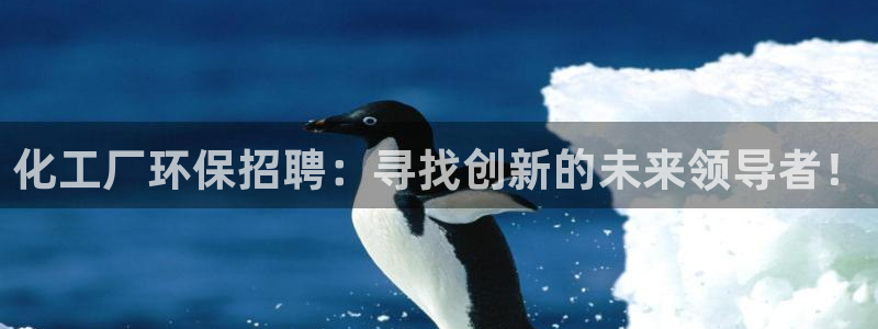 亿万先生现在的网址谁知道是真的：化工厂环保招聘：寻找创新的未来领导者！
