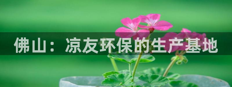 亿万财富网：佛山：凉友环保的生产基地