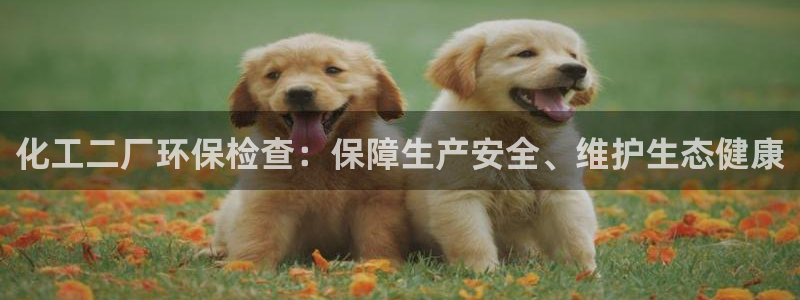 亿万手游平台官网入口：化工二厂环保检查：保障生产安全、维护生态健康