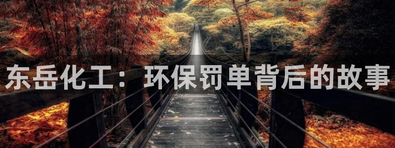 亿万先生网页版登录：东岳化工：环保罚单背后的故事