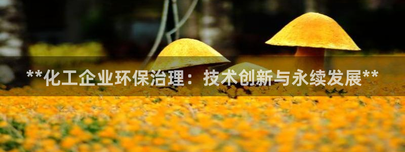 亿万先生客户端官网登录：**化工企业环保治理：技术创新与永续发展**