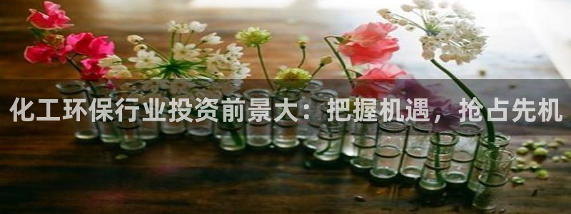 亿万先生下载客户端：化工环保行业投资前景大：把握机遇，抢占先机