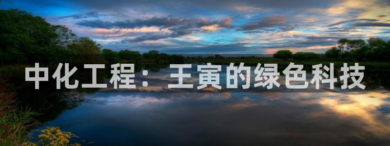 亿万手游官网首页：中化工程：王寅的绿色科技