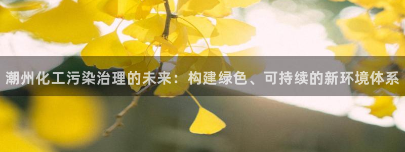 mr07亿万先生：潮州化工污染治理的未来：构建绿色、可持续的新环境体系
