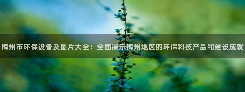 亿万先生客户端官网登录：梅州市环保设备及图片大全：全面展示梅州地区的环保科技产品和建设成就