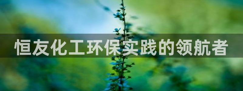 亿万先生官方登录网址：恒友化工环保实践的领航者