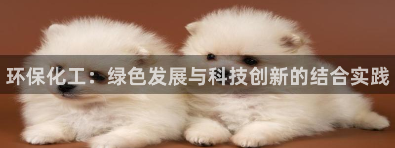 亿万讲了什么：环保化工：绿色发展与科技创新的结合实践