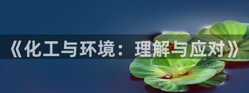 亿万网友在线实时为您解答：《化工与环境：理解与应对》