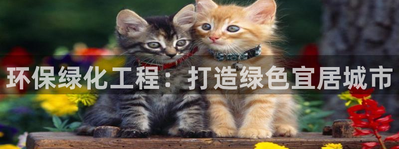 亿万第一季百科：环保绿化工程：打造绿色宜居城市