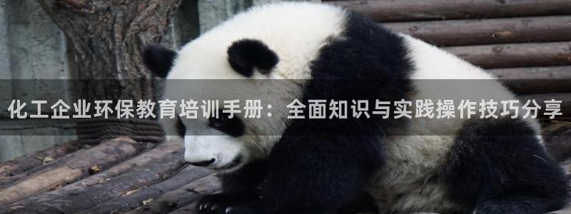 亿万第一季字幕：化工企业环保教育培训手册：全面知识与实践操作技巧分享