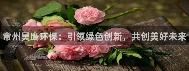 亿万先生MR - 亿万先生mr008cc：常州昊鹰环保：引领绿色创新，共创美好未来