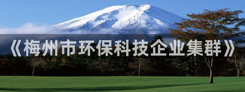 亿万 下载：《梅州市环保科技企业集群》
