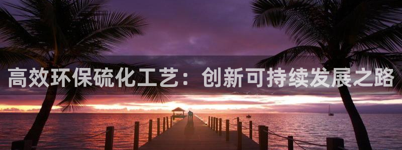 亿万先生情侣车有什么用：高效环保硫化工艺：创新可持续发展之路