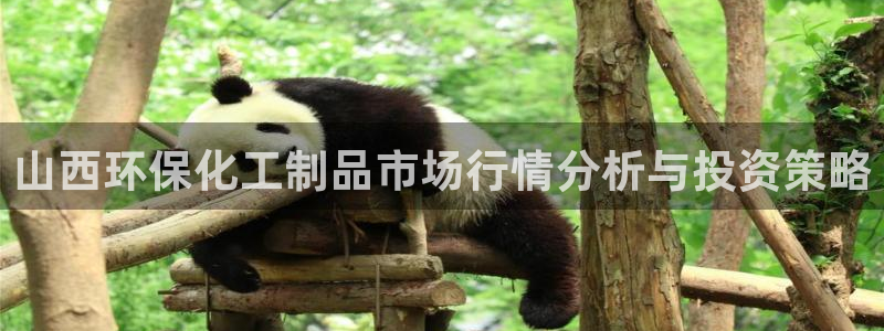 亿万百度百科：山西环保化工制品市场行情分析与投资策略