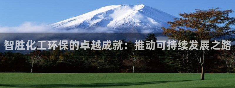 亿万剧情简介：智胜化工环保的卓越成就：推动可持续发展之路