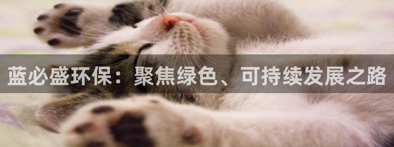 亿万先生 手机版下载安装：蓝必盛环保：聚焦绿色、可持续发展之路