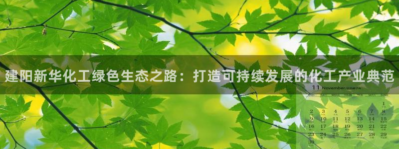 mr003亿万先生：建阳新华化工绿色生态之路：打造可持续发展的化工产业典范