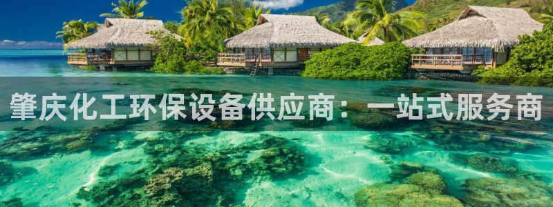亿万28下载地址：肇庆化工环保设备供应商：一站式服务商