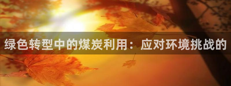 亿万官网字幕组官网下载：绿色转型中的煤炭利用：应对环境挑战的