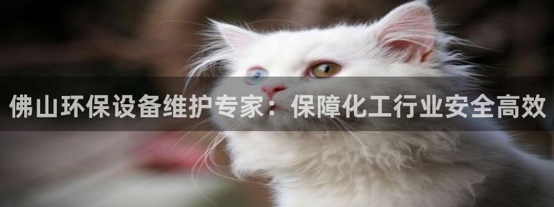 亿万讲了什么：佛山环保设备维护专家：保障化工行业安全高效