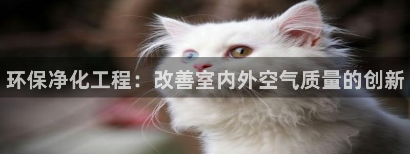 亿万手游平台官网入口：环保净化工程：改善室内外空气质量的创新